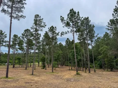 0 Guerrant Road Huntsville TX 77320