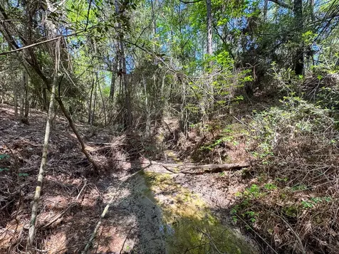 0 Guerrant Road Huntsville TX 77320