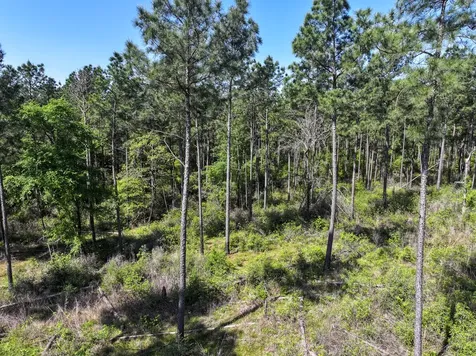 0 Guerrant Road Huntsville TX 77320