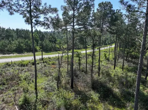 0 Guerrant Road Huntsville TX 77320