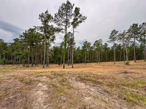 0 Guerrant Road Huntsville TX 77320