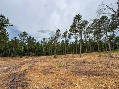 0 Guerrant Road Huntsville TX 77320