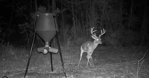 00 Fm 946 Oakhurst TX 77359