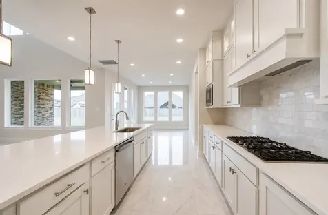 21307 Blue Wood Aster Court Cypress TX 77433