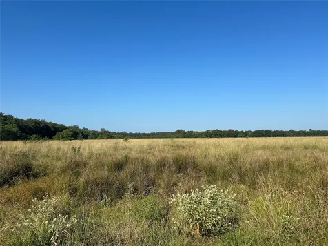 Lot 3 Minnie West Drive Hull TX 77564