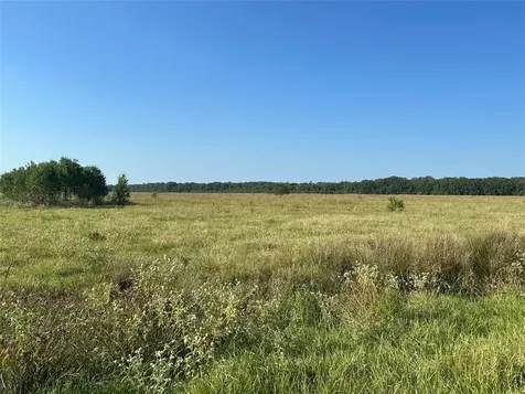 Lot 3 Minnie West Drive Hull TX 77564