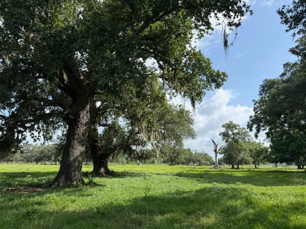 0 County Road 153 Sims Ave Road Cedar Lane TX 77415