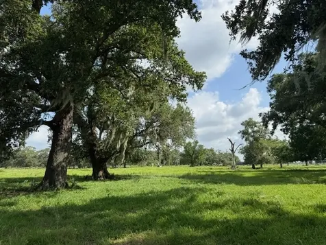 0 County Road 153 Sims Ave Road Cedar Lane TX 77415