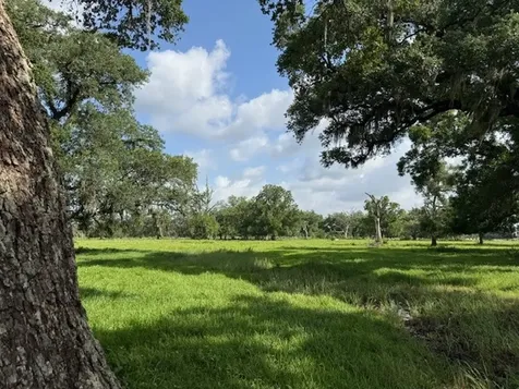 0 County Road 153 Sims Ave Road Cedar Lane TX 77415