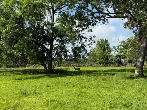 0 County Road 153 Sims Ave Road Cedar Lane TX 77415