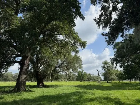 0 County Road 153 Sims Ave Road Cedar Lane TX 77415