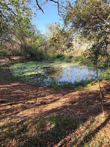 13502 30th Street Santa Fe TX 77510