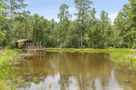 16307 Pintado Forest Road Humble TX 77346