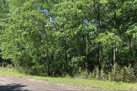 43 Shetland Lane Coldspring TX 77331