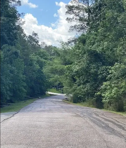43 Shetland Lane Coldspring TX 77331