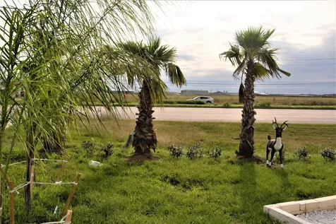 13115 Highway 6 12 Arcola TX 77583