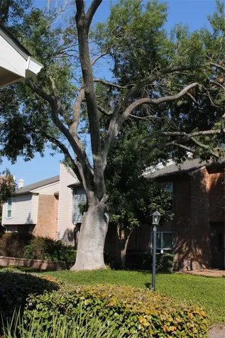 5976 Woodway Place Court Houston TX 77057