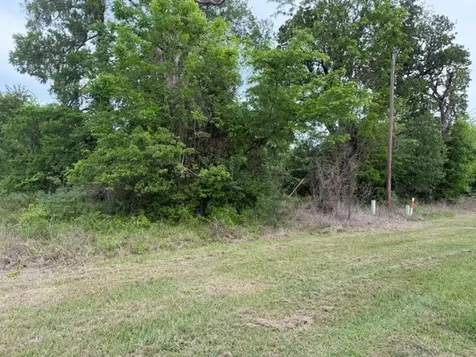 Lot 231 Scenic Woods Drive Coldspring TX 77331