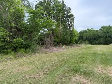 Lot 231 Scenic Woods Drive Coldspring TX 77331