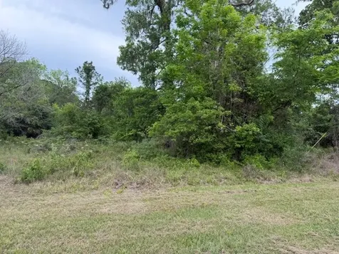 Lot 231 Scenic Woods Drive Coldspring TX 77331