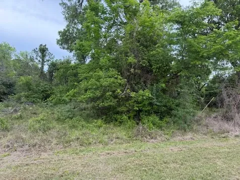 Lot 231 Scenic Woods Drive Coldspring TX 77331
