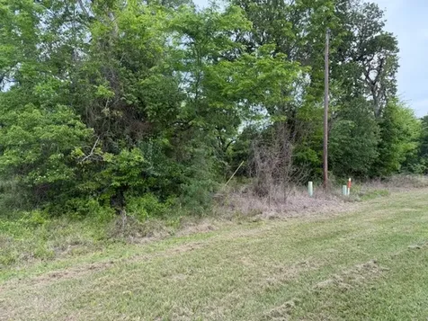 Lot 231 Scenic Woods Drive Coldspring TX 77331