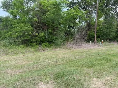 Lot 231 Scenic Woods Drive Coldspring TX 77331