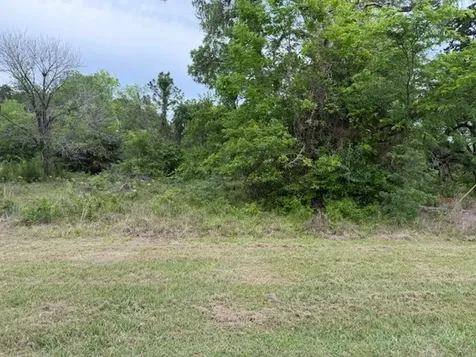 Lot 231 Scenic Woods Drive Coldspring TX 77331