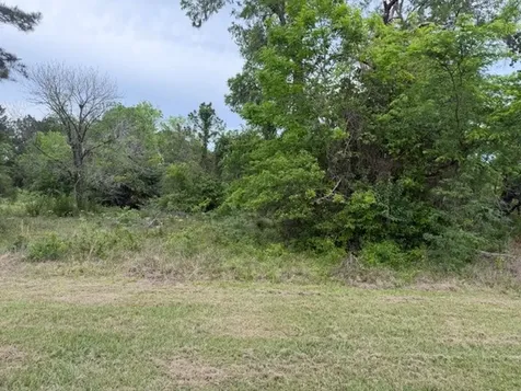 Lot 231 Scenic Woods Drive Coldspring TX 77331