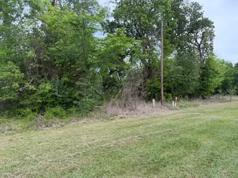 Lot 231 Scenic Woods Drive Coldspring TX 77331