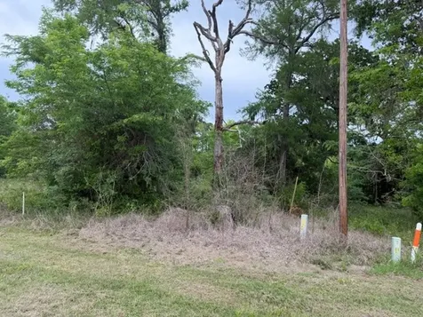 Lot 231 Scenic Woods Drive Coldspring TX 77331