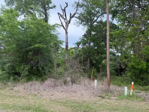Lot 231 Scenic Woods Drive Coldspring TX 77331