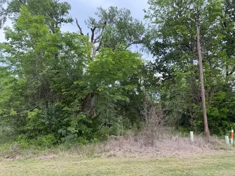 Lot 231 Scenic Woods Drive Coldspring TX 77331