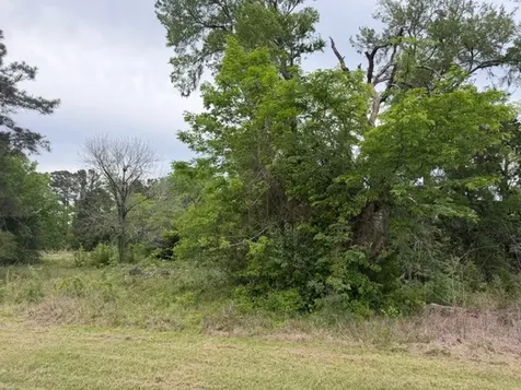 Lot 231 Scenic Woods Drive Coldspring TX 77331