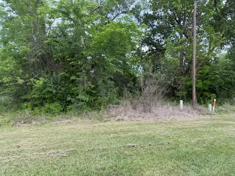 Lot 231 Scenic Woods Drive Coldspring TX 77331