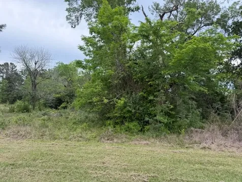 Lot 231 Scenic Woods Drive Coldspring TX 77331