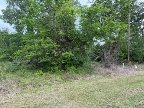 Lot 231 Scenic Woods Drive Coldspring TX 77331