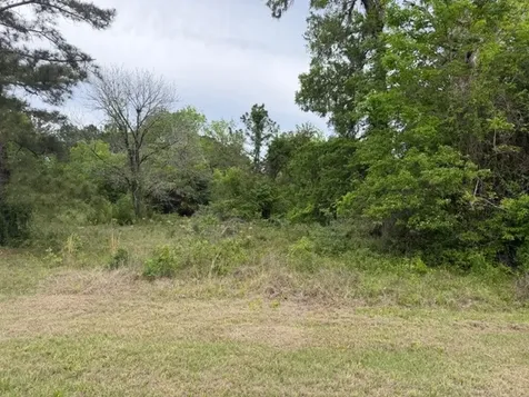 Lot 231 Scenic Woods Drive Coldspring TX 77331