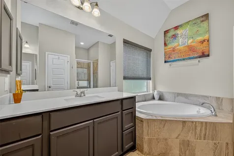 24263 Via Vitani Drive Richmond TX 77406