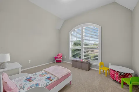 24263 Via Vitani Drive Richmond TX 77406