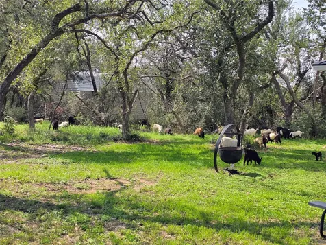 330 Live Oak Hills Court San Marcos TX 78666