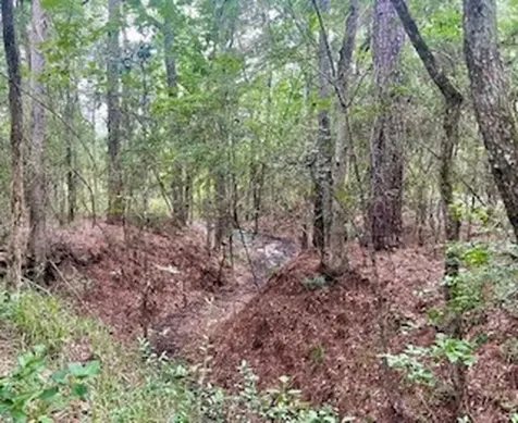 Lot 8 Block 22 Lonestar Road Huntsville TX 77340