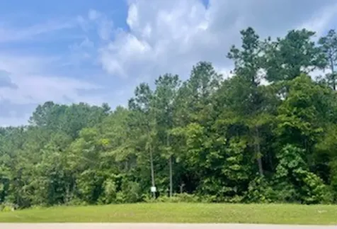 Lot 8 Block 22 Lonestar Road Huntsville TX 77340