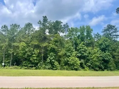 Lot 8 Block 22 Lonestar Road Huntsville TX 77340