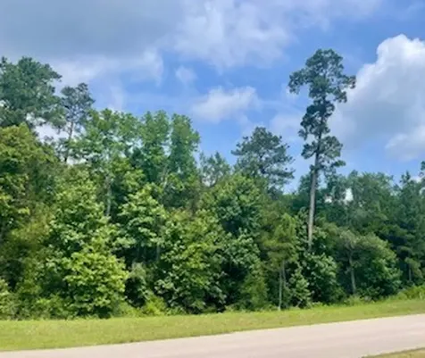 Lot 8 Block 22 Lonestar Road Huntsville TX 77340
