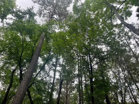 Lot 8 Block 22 Lonestar Road Huntsville TX 77340