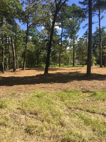 0 0 Big Deer Drive Crosby TX 77532