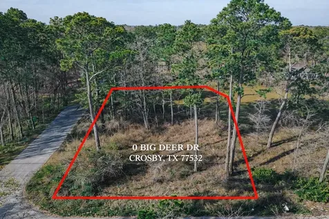 0 0 Big Deer Drive Crosby TX 77532