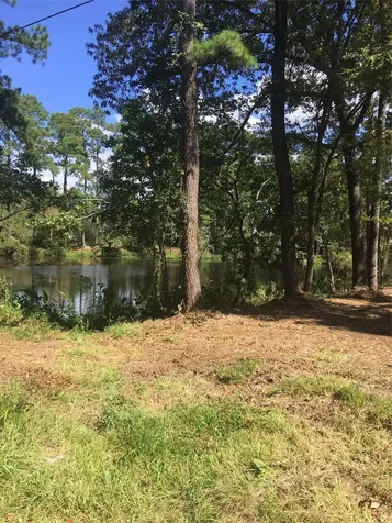 0 0 Big Deer Drive Crosby TX 77532