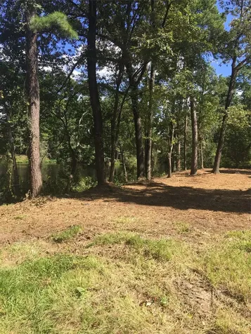 0 0 Big Deer Drive Crosby TX 77532